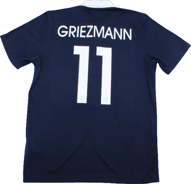 Francia Local - 2014 WC